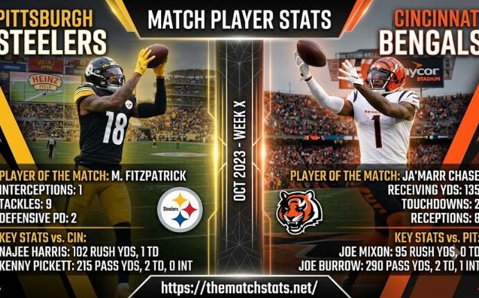 Pittsburgh Steelers vs Bengals Match Player Stats